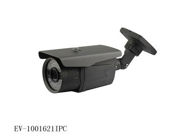 IP-Kugel-Überwachungskamera-Überwachung Vandalen-Beweis IR-P2P, hohe Auflösung 1.0MP